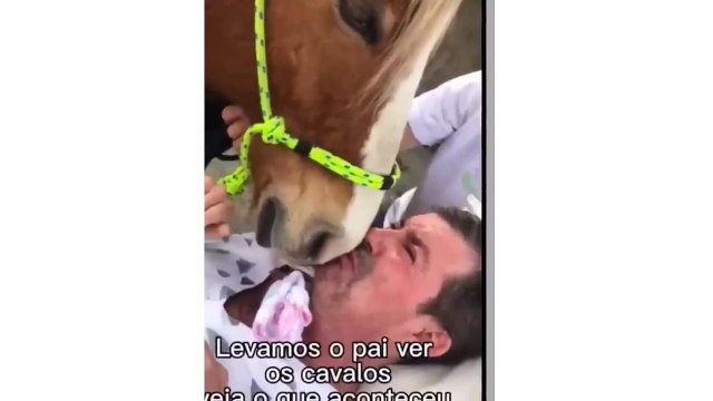 Allah ki Kudrat ka Krishma // Video Hua viral Ye Horse Rokr apne Malik se kya kh raha hai