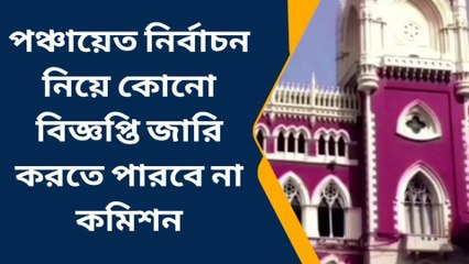 কলকাতা: পঞ্চায়েত নির্বাচন নিয়ে কোনও বিজ্ঞপ্তি নয়, কমিশনকে নির্দেশ হাইকোর্টের