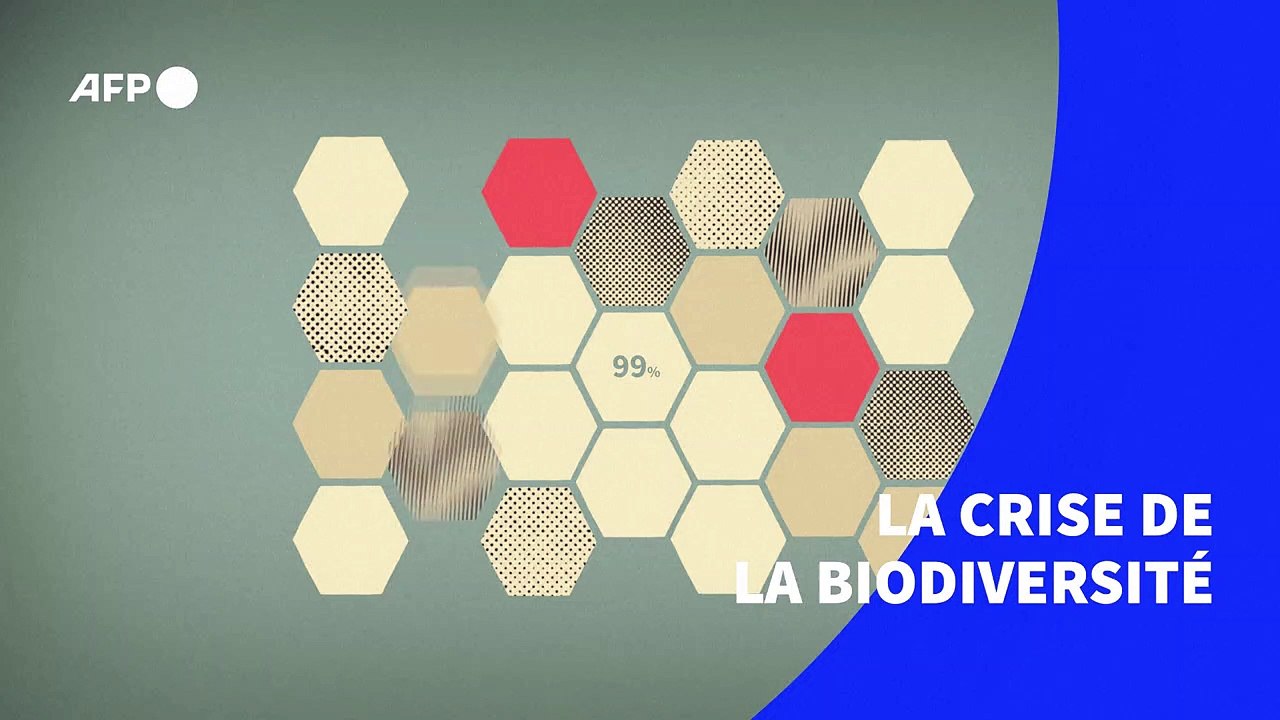 La crise de la biodiversité