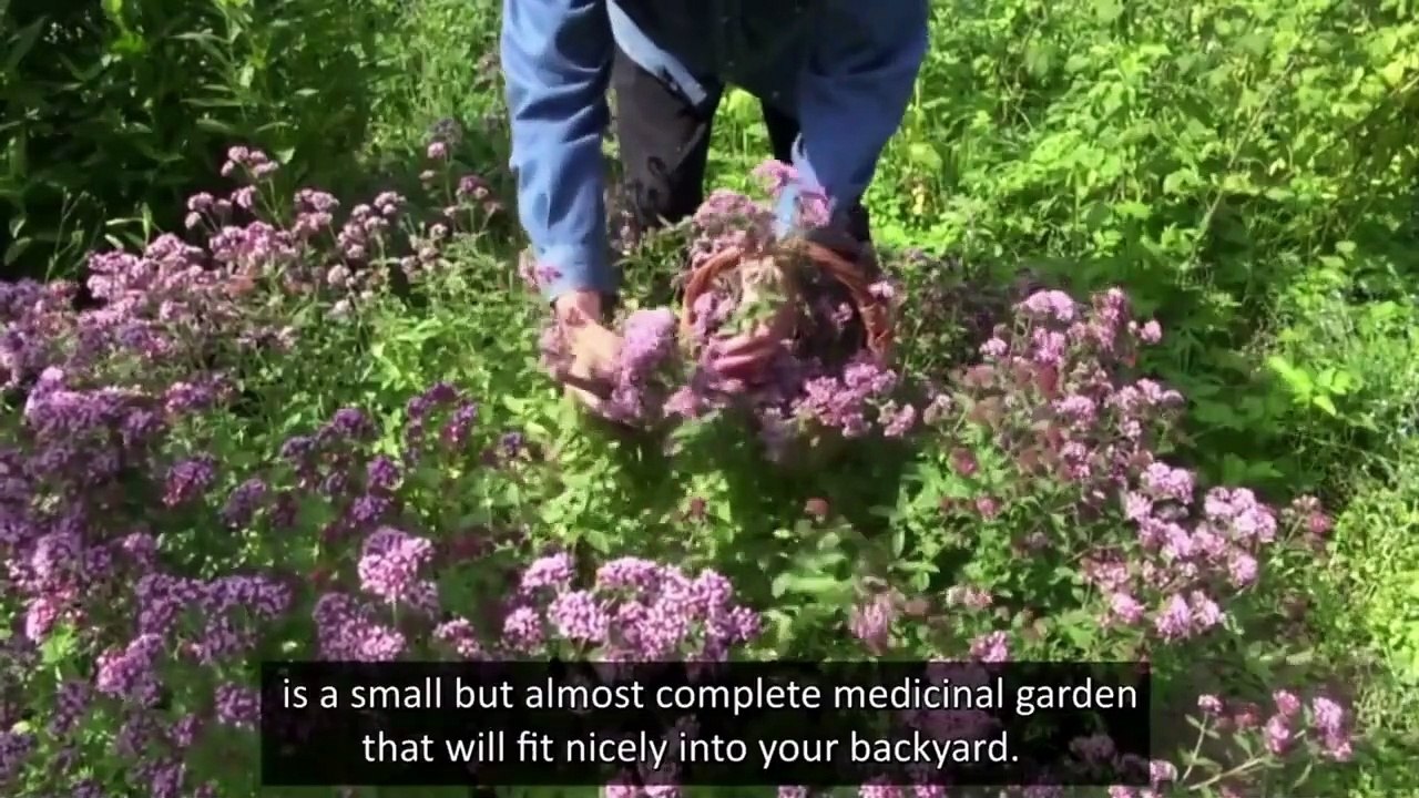 MEDICINAL GARDEN KIT - BRAND NEW!