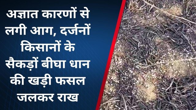 गाजीपुर: खेत में लगी आग सैकड़ों बीघा खेत में खड़ी धान की फसल राख