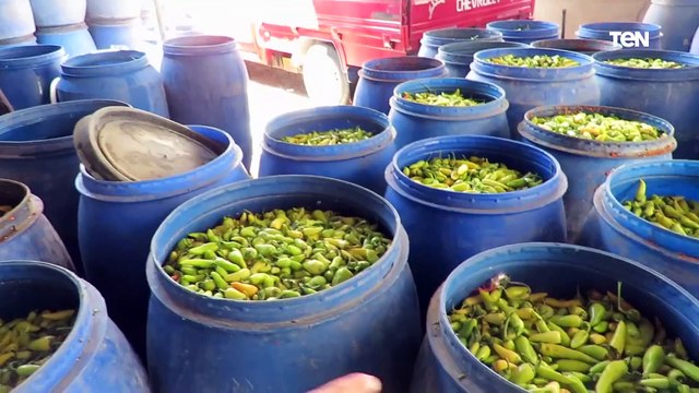 ضبط 3 مصانع ومخزن بدون ترخيص لتصنيع وإنتاج وتخزين الأعلاف الحيوانية