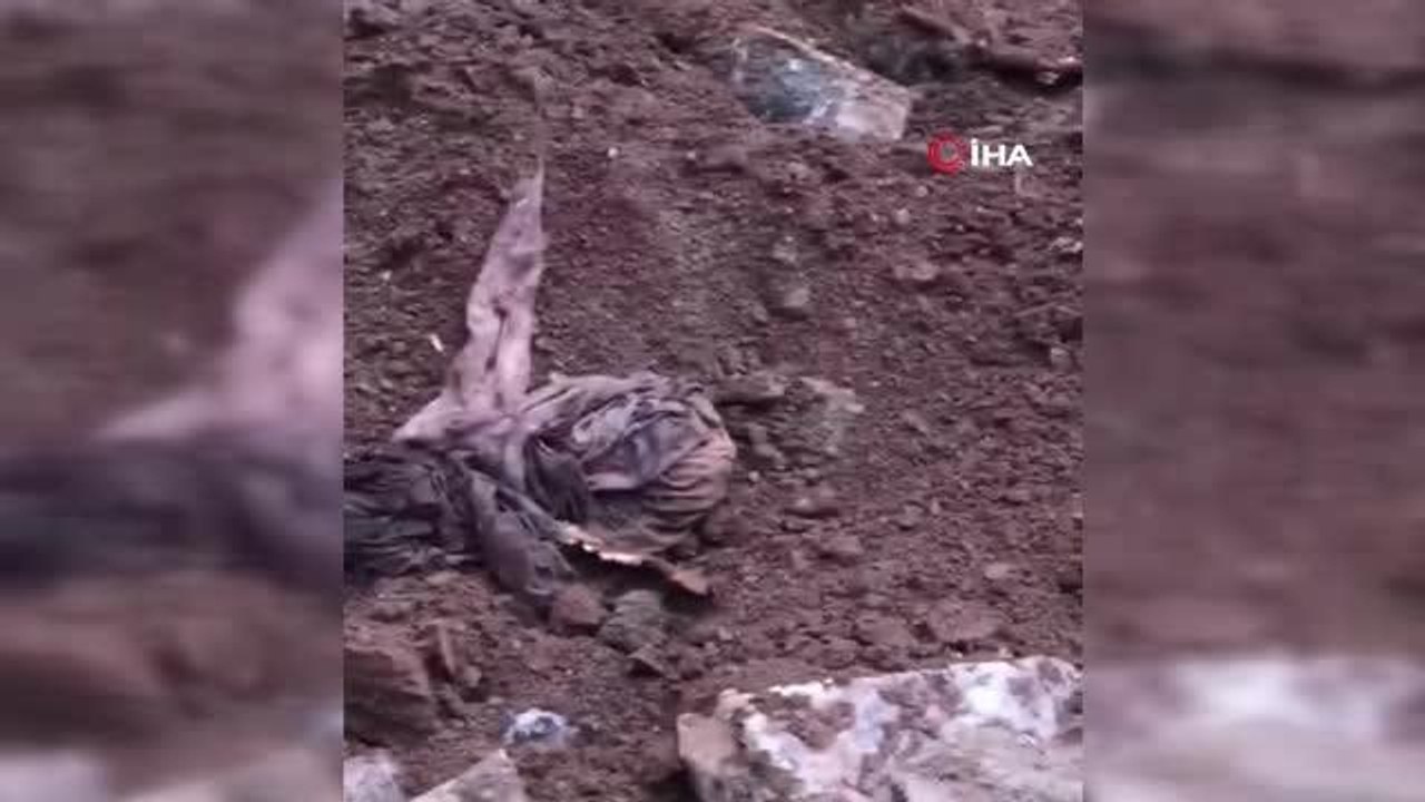 Ev değil hayvan mezarlığı: Kazılan bahçeden onlarca hayvan cesedi çıktı