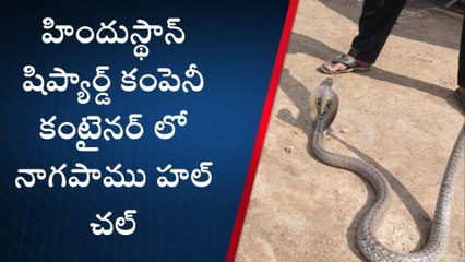 విశాఖపట్నం: నాగుపాము హల్ చల్... లైవ్ వీడియో మీకోసం