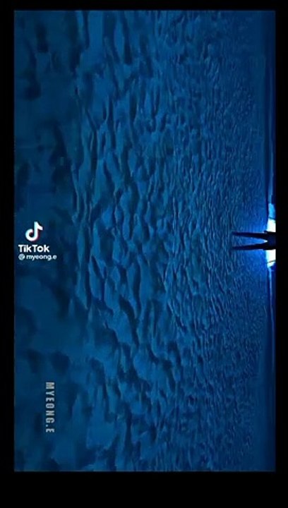 Eren yeager edir #anime #edit