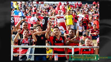Final da Copinha os registros fotográficos à beira do campo