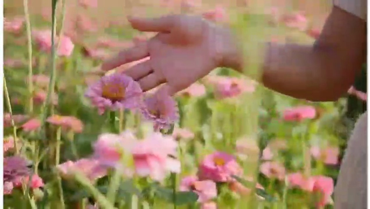 Natural video