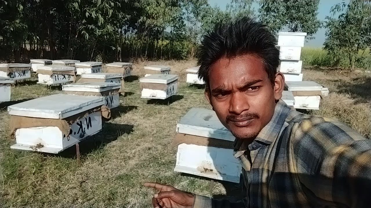 VID_20221215_093623