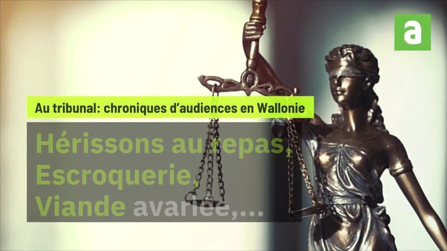 Surprenantes histoires judiciaires survenues en Wallonie 12 décembre