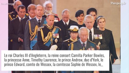 Harry, William, Elizabeth et Charles : Cri, mensonge, déception... Les coulisses chaotiques de leur ultime entrevue