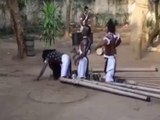 Amazing funny video How can they standup in bambuAmazing funny video How can they standup in bambu
