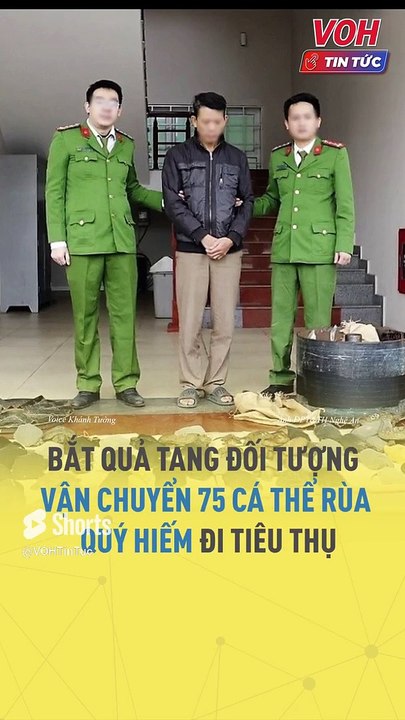 Bắt quả tang đối tượng vận chuyển 75 cá thể rùa quý hiếm đi tiêu thụ