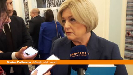 Lavoro, Calderone "Tavolo su autonomi riguarda temi strategici"