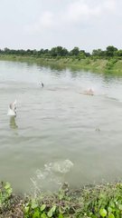 Talab se machli nikalne ka bahaut hi zabardast trika.Awesome way to get fish out of the pond