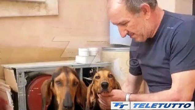 Video News - OMICIDIO BOZZOLI: E' STATO GIACOMO