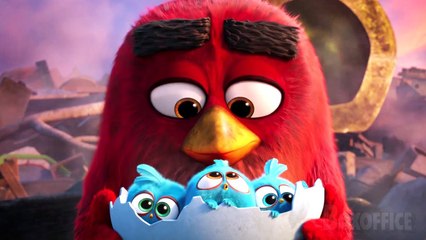 Les scènes les plus adorables dans Angry Birds  4K