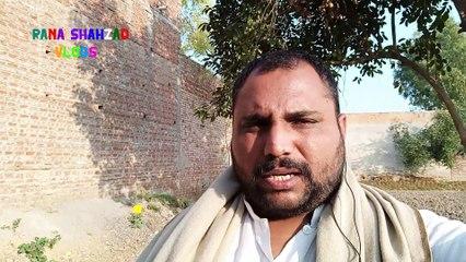 AAJ DEKHIEN GE 300 SAAL PURANA DARAKHT | INFORMATION VIDEO | VILLAGE TOUR || Rana Shahzad Vlogs