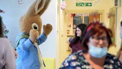 Peter Rabbit visits children in Blackpool Victoria Hospital