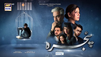 Pinjra Episode 12 - 15th  December 2022  - ARY Digital Drama