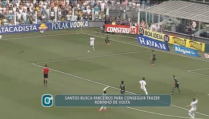 Presidente do Santos espera parceiro para contratar Robinho