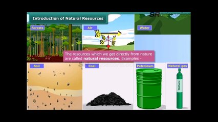 Class 8 Chemistry Coal and Petroleum