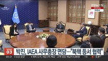 박진, IAEA 사무총장 면담…