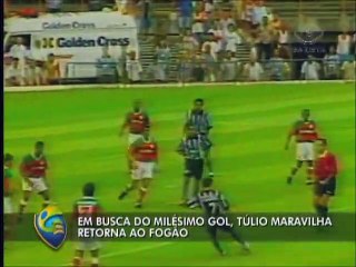 Túlio Maravilha é apresentado no Botafogo “Que seja a última”