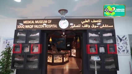 Crónicas de Qatar: El museo dedicado exclusivamente a los halcones