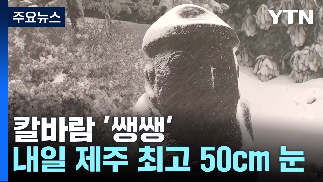 [날씨] 한낮에도 '영하권 강추위'...주말 눈 폭탄, 휴일 한파 절정 / YTN