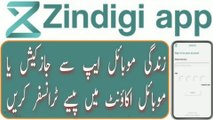 How to transfer money from Zindagi app to Jazzcash | Send money from Zindagi app to mobile wallet account |