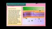 Class 8 Biology Cell Structure and Functions