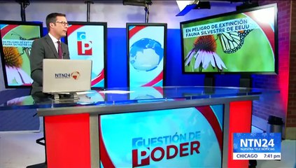 Fauna silvestre de EE. UU. está en peligro de extinción