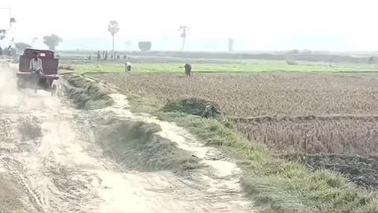 कटिहार: सागरथ जाने वाली कच्ची सड़क जर्जर व गड्ढों में तब्दील