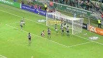 Veja os melhores momentos da vitória do Palmeiras contra o Botafogo