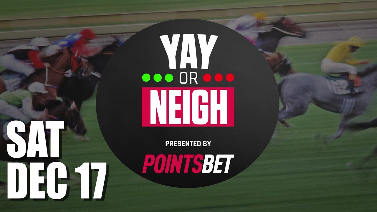 Saturday Dec 17 Racing Tips, powered by PointsBet video