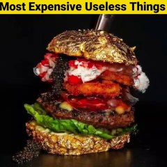 Most Expensive Useless Things - By Anand Facts _ Useless Things _ Amazing Facts _ _shorts(480P)