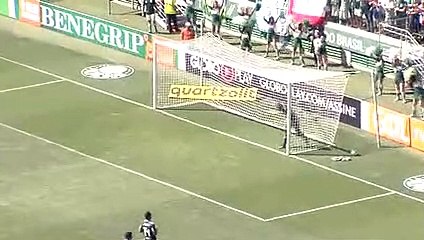 Confira os melhores momentos de Palmeiras x Paraná Clube