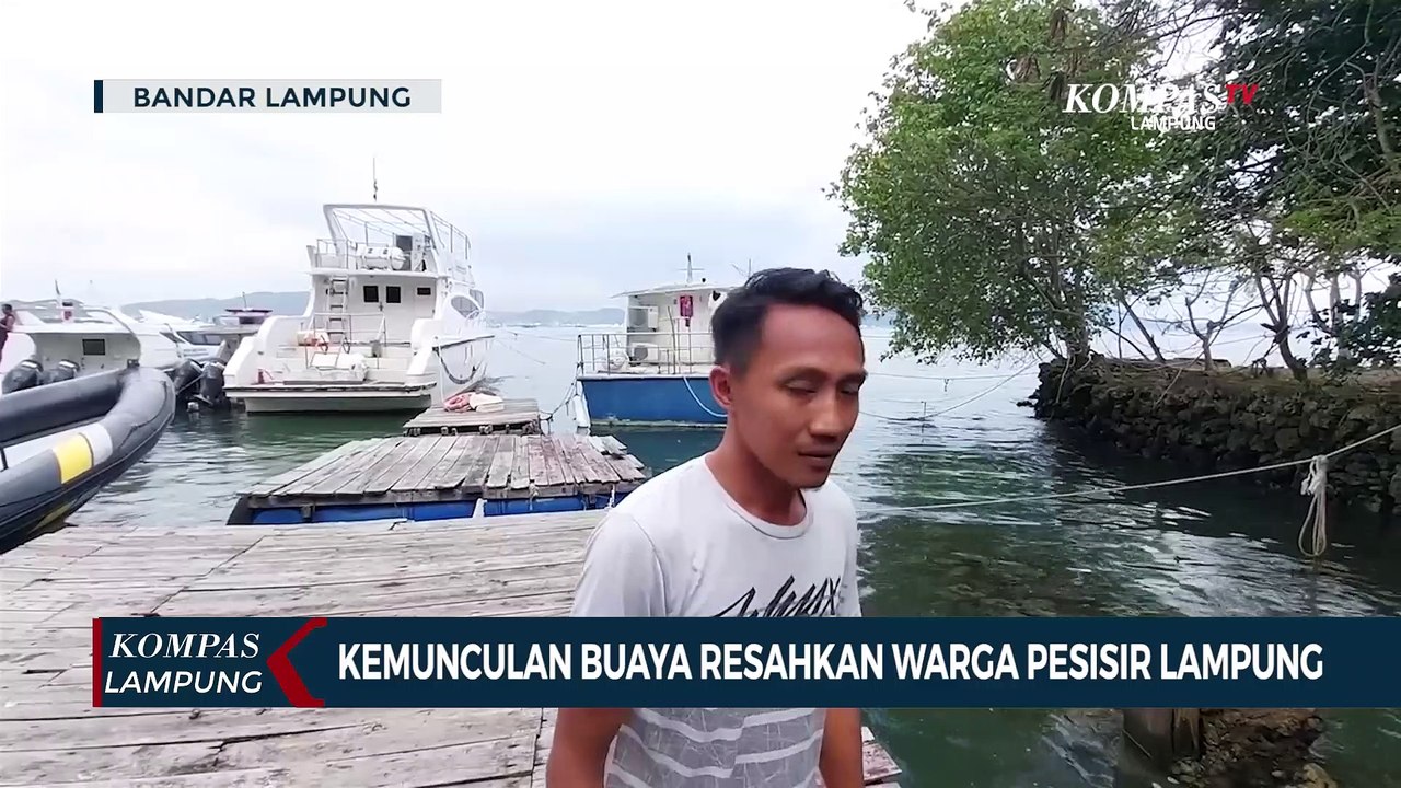 Kemunculan Buaya Resahkan Warga Pesisir Lampung