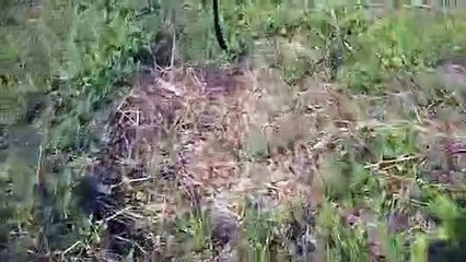 शेतीची_पहिली_मशागत_#farm_#farmer_#farmers