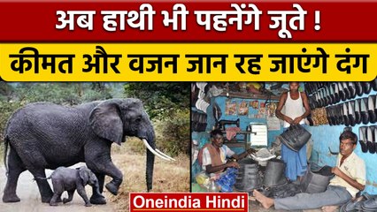 Bihar के Nalanda में पशु प्रेमी की पहल, Elephant के लिए बनवाए जूते | वनइंडिया | *News