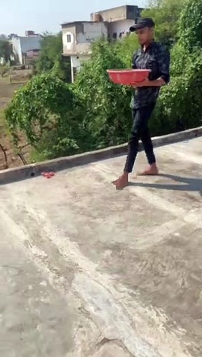 Follow me to be a part of sakat sanatan dharma.. JAI BAGRANG BALI#bagrangbali#hanuman#hanumanji#bhaktistatus#statuswhatsapp#salasarbalaji#hanumanjioffcialpageOWER#bhakti#bhaktiquotes#jaibagrangbali#instalove