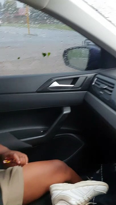 Escape of The Trash Cans