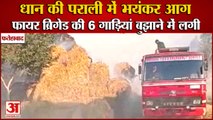 Fire In Paddy Straw At Bhirdana Road In Fatehabad Aharwan Village|धान की पराली में लगी भयंकर आग