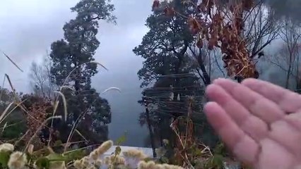 Beauty Of Nature | प्रकृति वो सब कुछ देती है जो भी हमारी जरूरत है | हम इसका ध्यान रखेंगे तो ये हमारा ध्यान रखेगी |