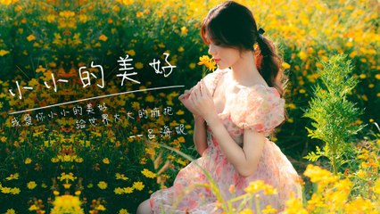 『治癒音樂』呂海妮-小小的美好（XIAO XIAO DE MEI HAO）【我愛你小小的美好，給世界大大的擁抱。】#流行歌曲 #動態歌詞 #Lyrics #高音質 #好聽