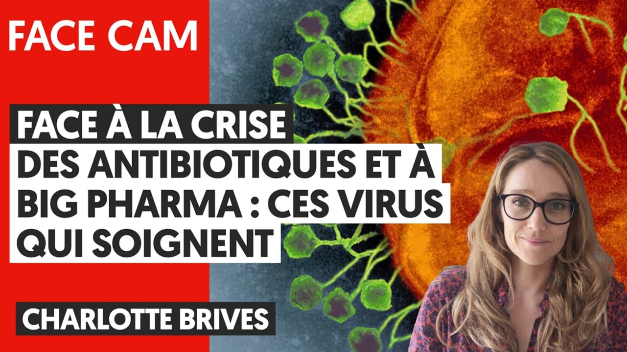 FACE À LA CRISE DES ANTIBIOTIQUES ET À BIG PHARMA : CES VIRUS QUI SOIGNENT | CHARLOTTE BRIVES