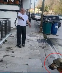 'PAŞA' İSİMLİ KÖPEĞİ ÖLDÜRÜP, SAHİBİNİ DE TEHDİT EDEN SANIĞA 5 YIL 9 AY HAPİS
