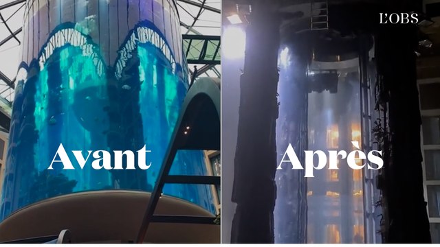 Un aquarium géant éclate à Berlin, deux blessés