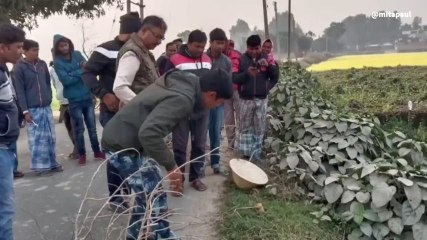 উঃদিনাজপুরঃ ভোটের মুখে কৌটা বোমা উদ্ধারকে ঘিরে চাঞ্চল্য! দেখুন ভিডিও