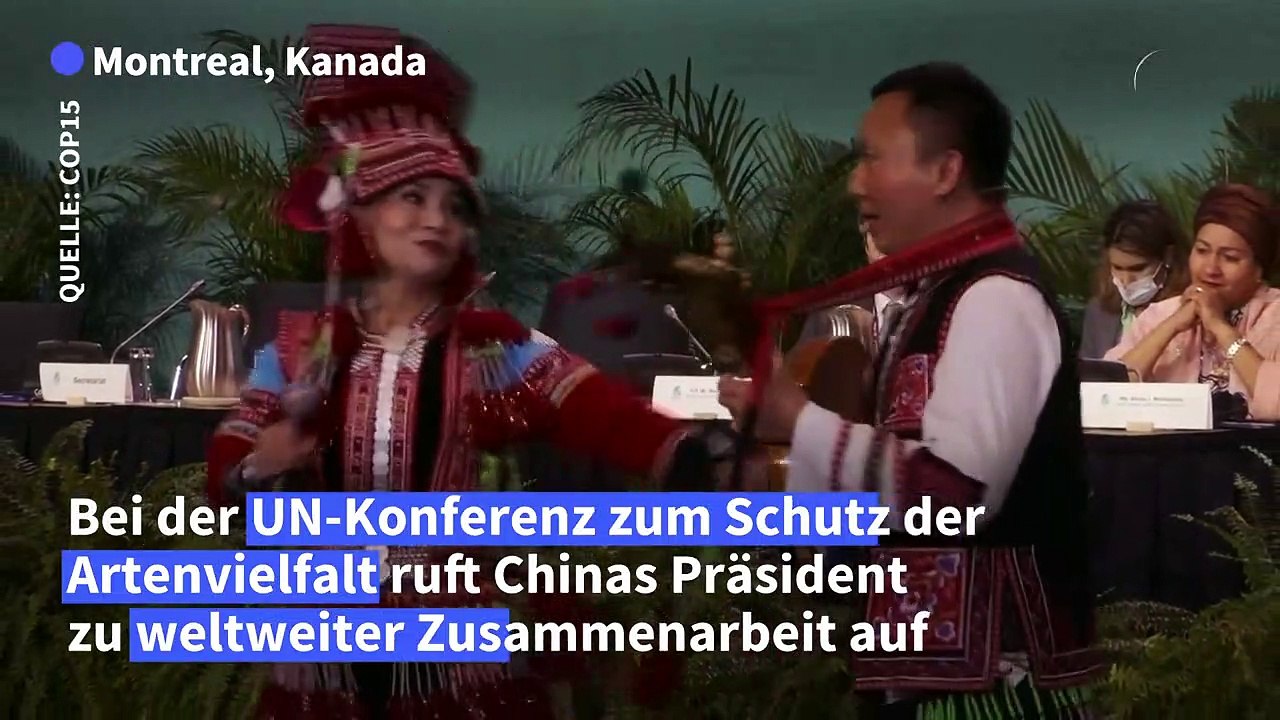 China ruft zu weltweiter Zusammenarbeit für Artenschutz auf